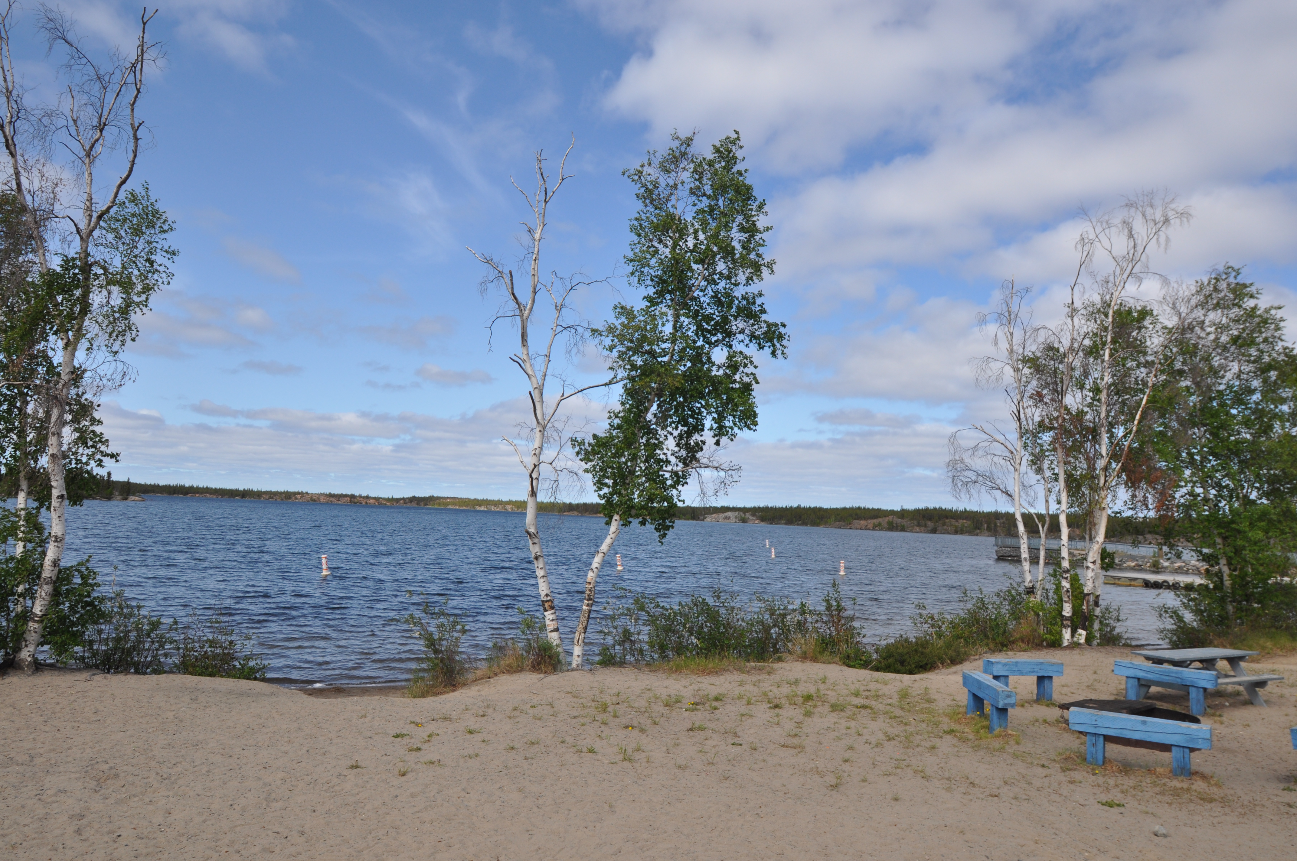 Fred Henne Beach by picnic shelter