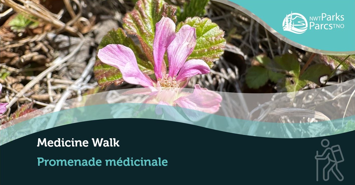 Medicine Walk at Prelude Lake