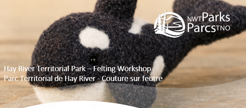 Hay River Felting Workshop