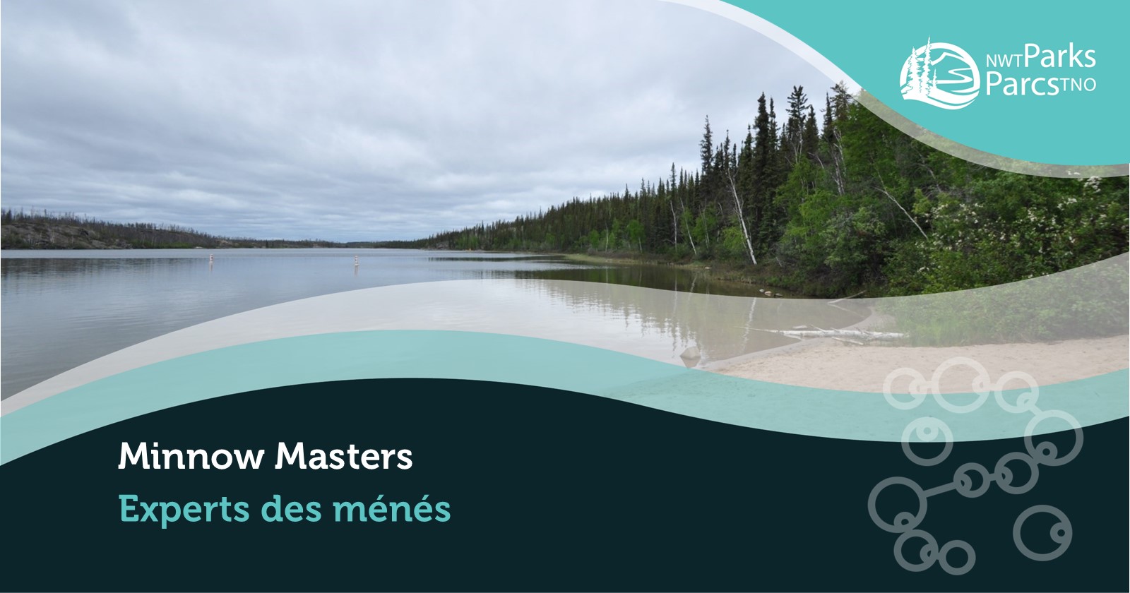 Minnow-Masters-REID banner