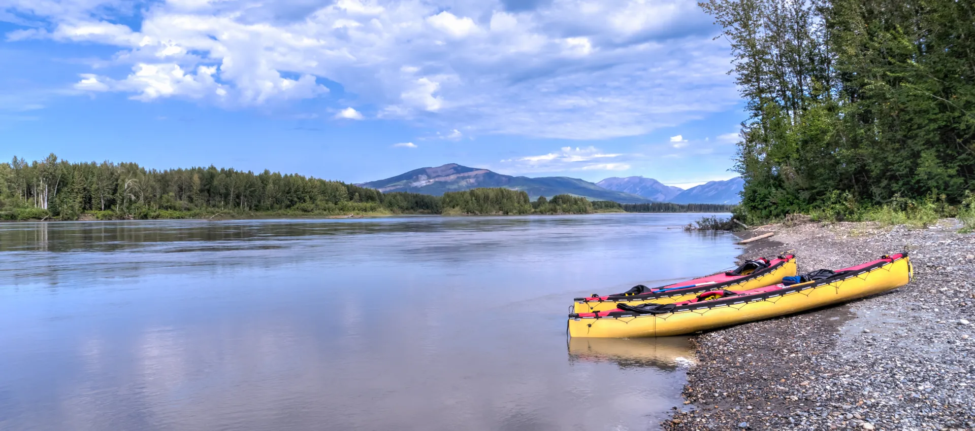 The trip of a lifetime