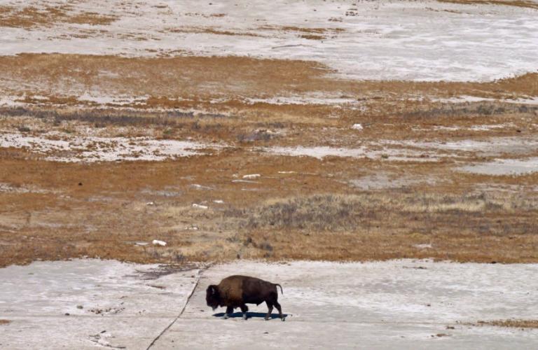 Slave River Lowlands Overview