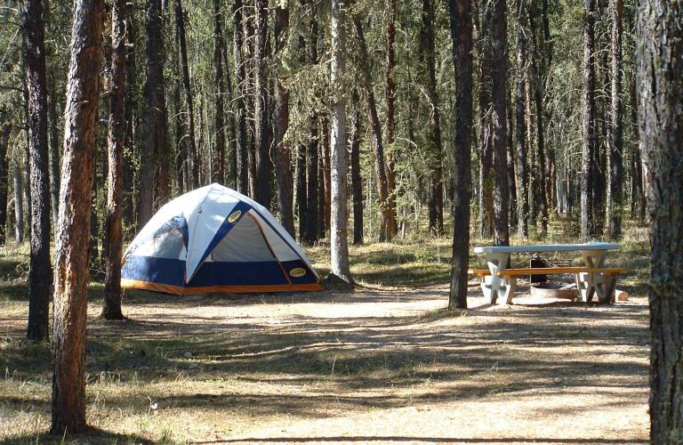 Queen E Campsite and tent