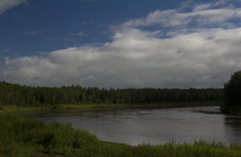 60th Parallel Campground scenic view 1