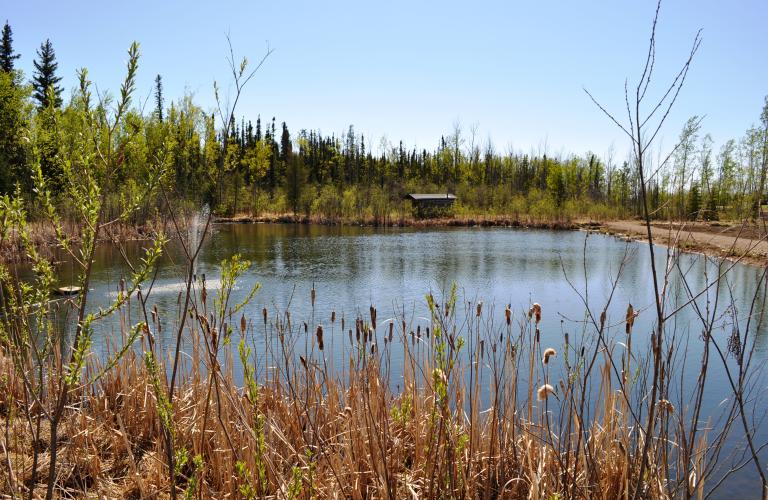 60th Parallel Campground pond