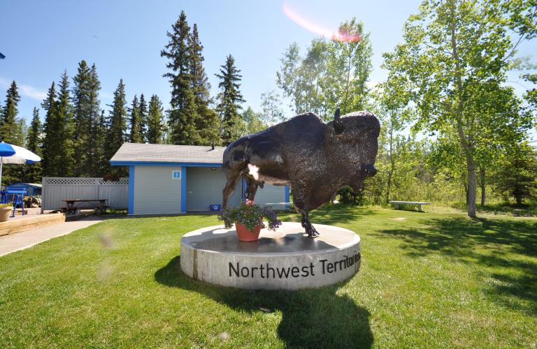 60th Parallel VIC4 Bison