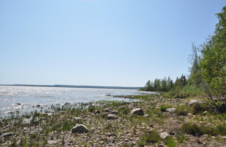 NorthArmDayUse-View2