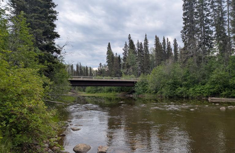 Blackstone Park day use area - river by bridge