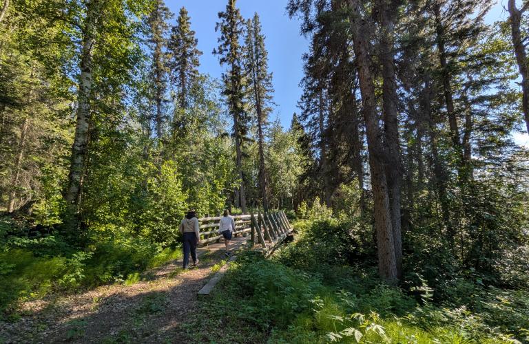 Blackstone hiking trail 2