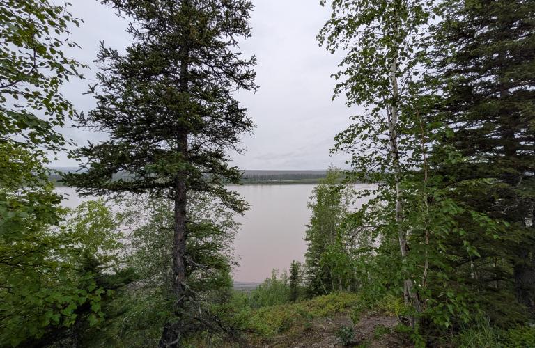 Nataiinlaii trail - view of Peel River