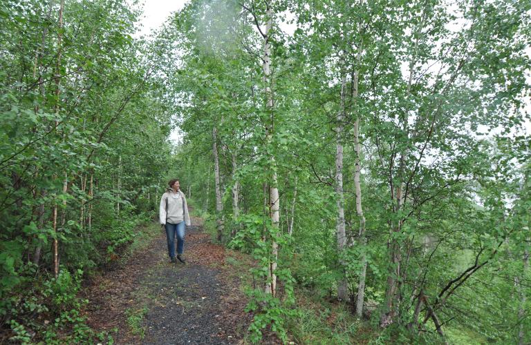 Nataiinlaii trail