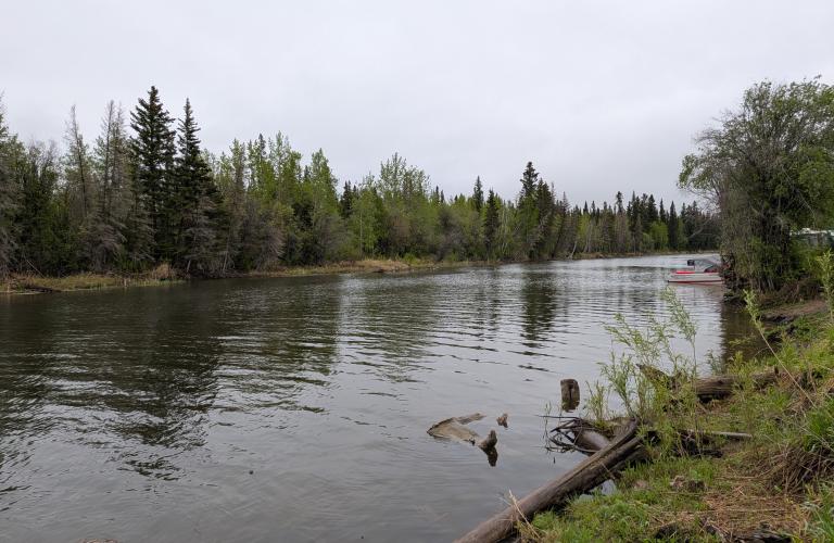 Little buffalo river crossing-river