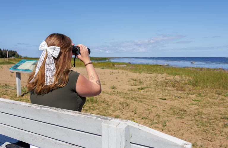 birdwatching