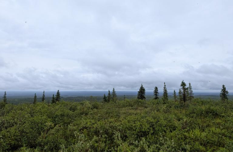 Tetlit Gwinjik Lookout View