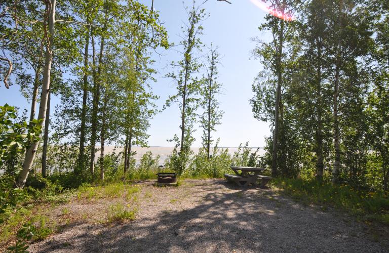 North Arm Picnic Table day use area site