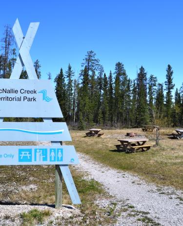 McNallie Creek Territorial Park