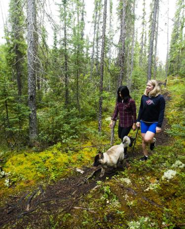 Hikers with dog on a leash
