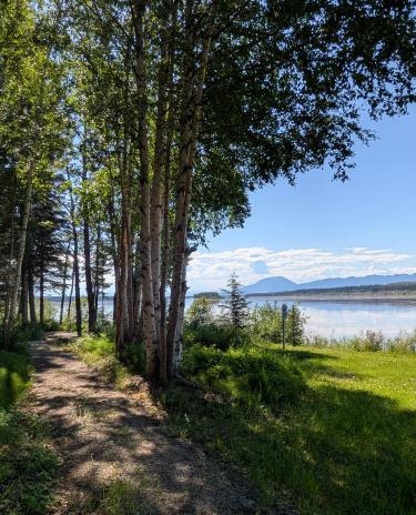 Blackstone walking trail view