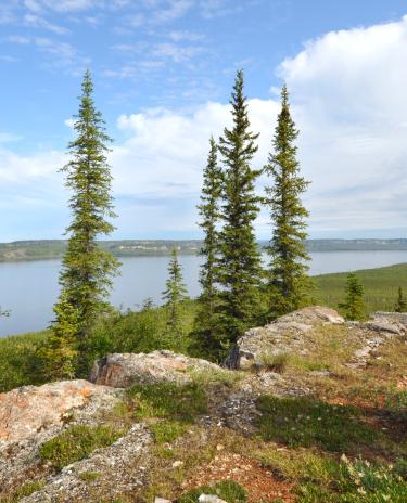 Tithegeh Chii Vitaii Lookout in Gwich'in Park - lookout with two visitors - banner