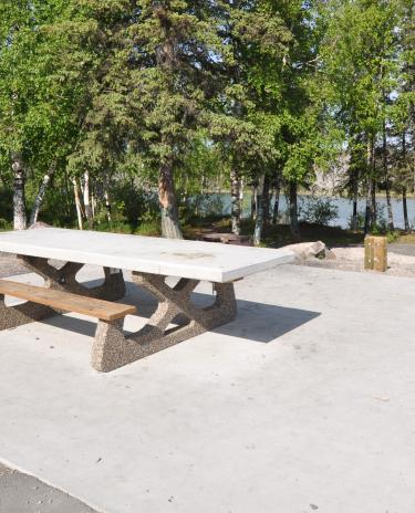 Wheelchair accessible (barrier-free) picnic table at Yellowknife River (banner format)