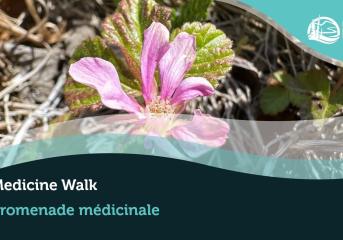 Medicine Walk at Prelude Lake