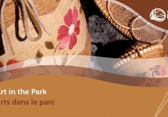 Art in the Park banner