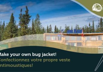 Make your own bug jacket - Nataiinlaii Banner