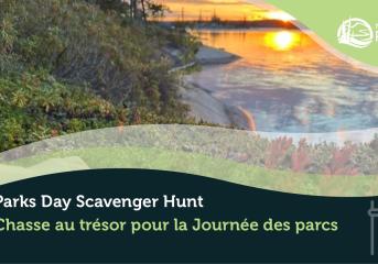 Ried lake scavenger