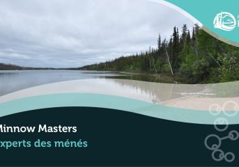 Minnow-Masters-REID banner