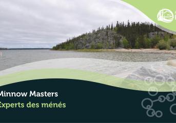 Minnow Masters Prelude banner