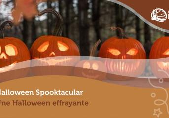 Spooktacular Halloween Overylay