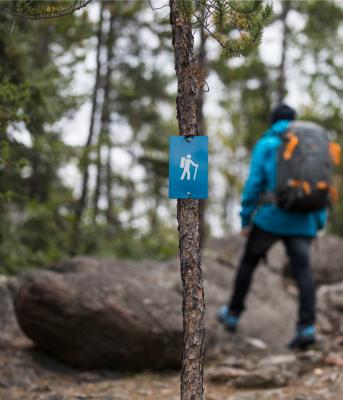 Accessibility icon in a tree with a person walking behind it.